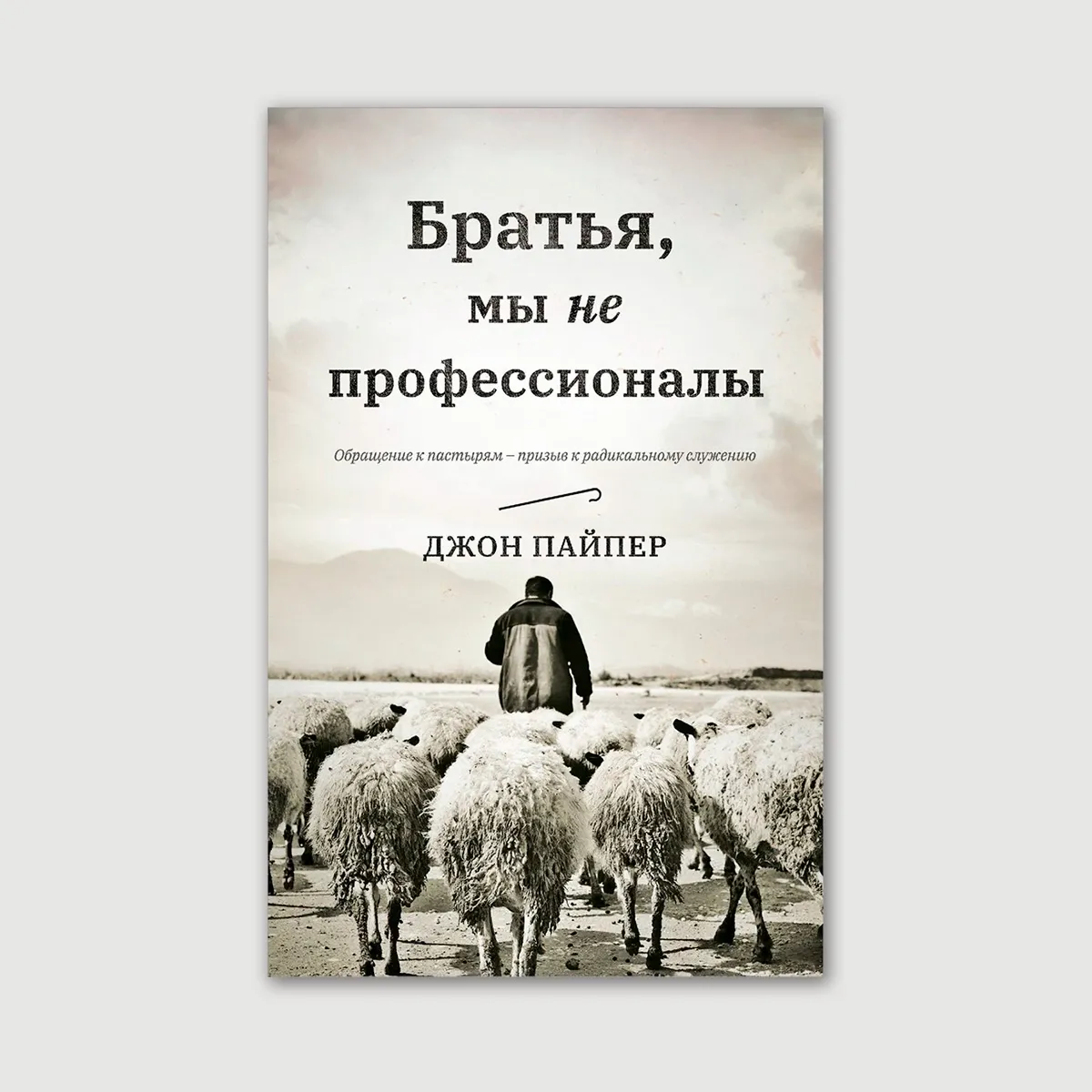 Братья, мы не профессионалы