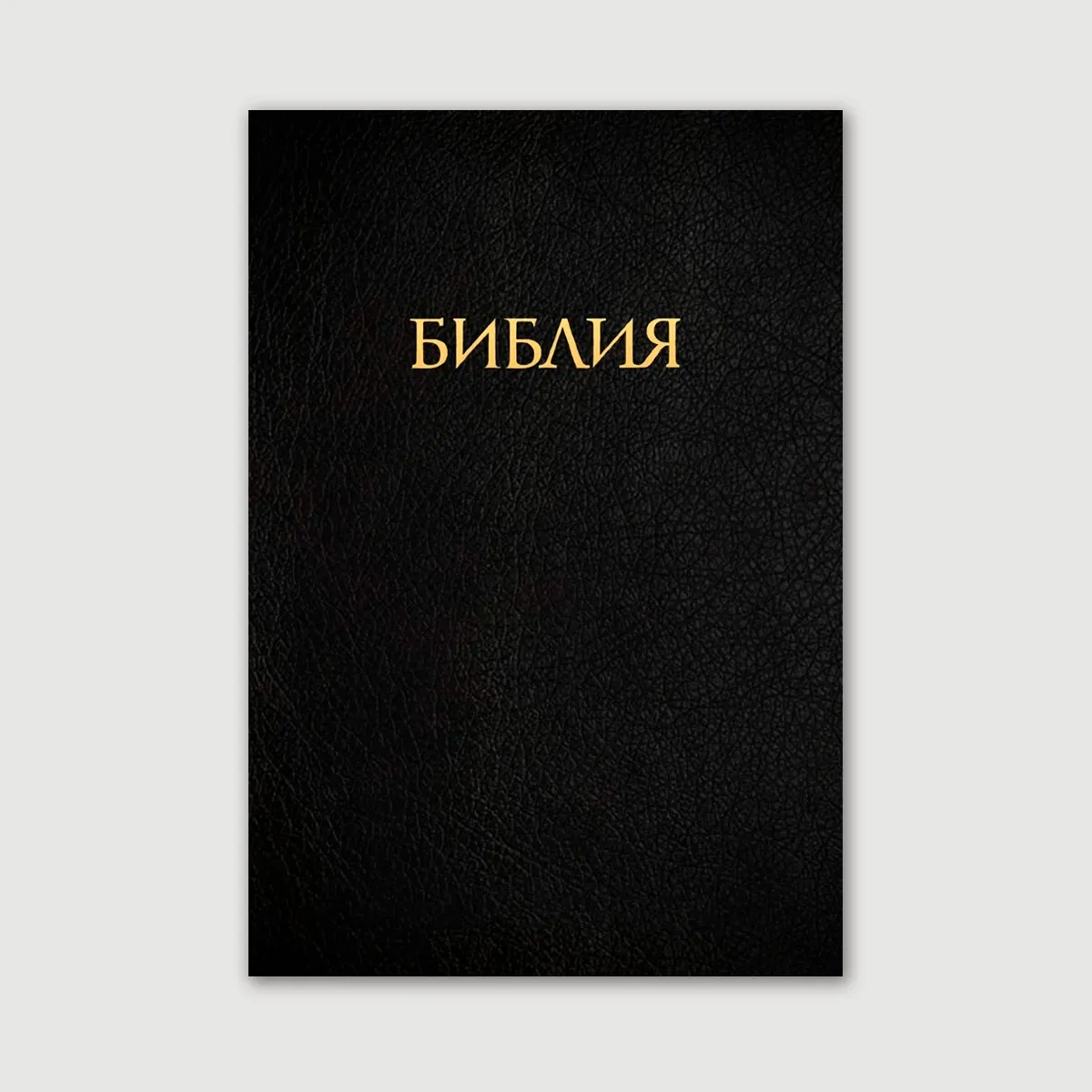 Учебная Библия с комментариями Джона Мак-Артура