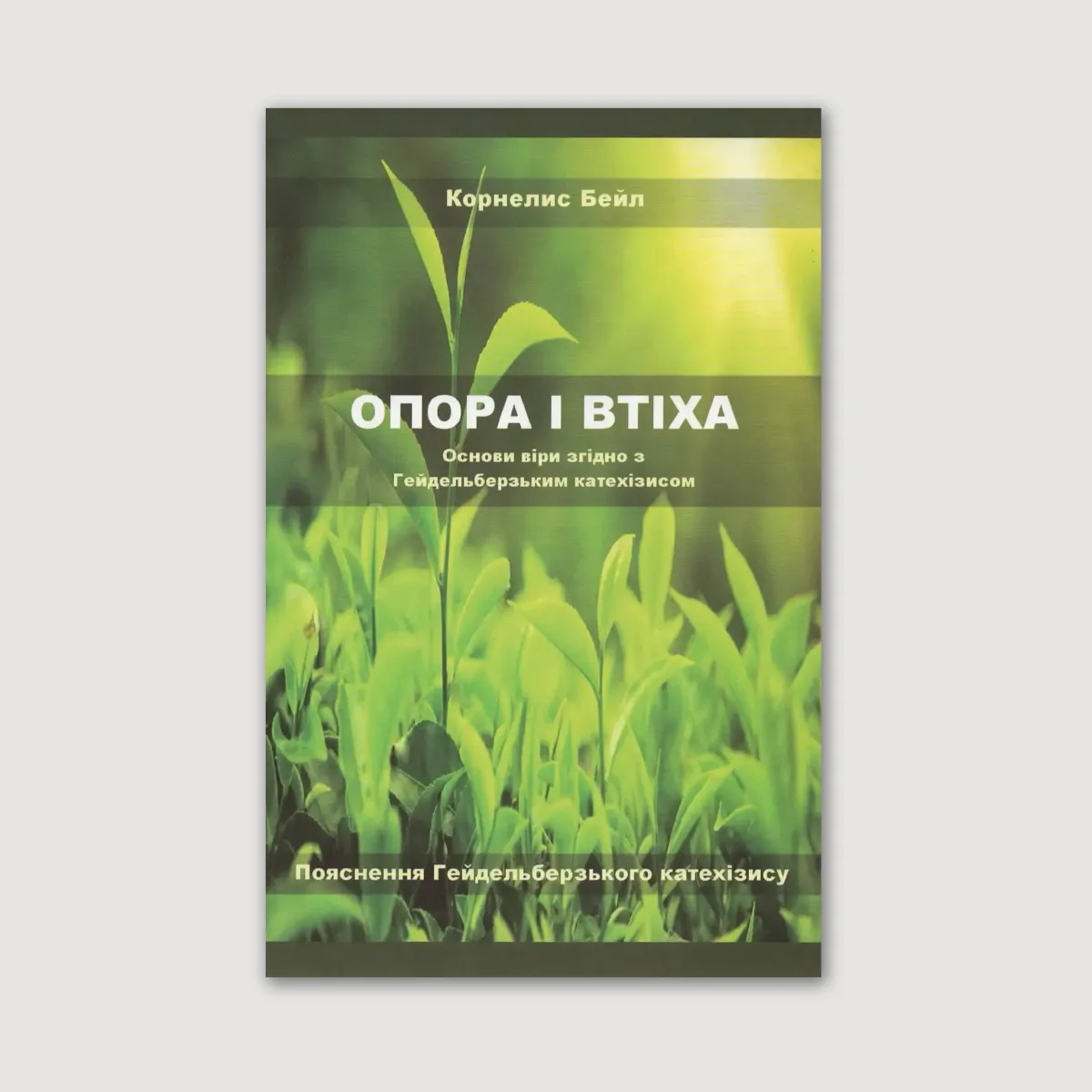 Опора і втіха