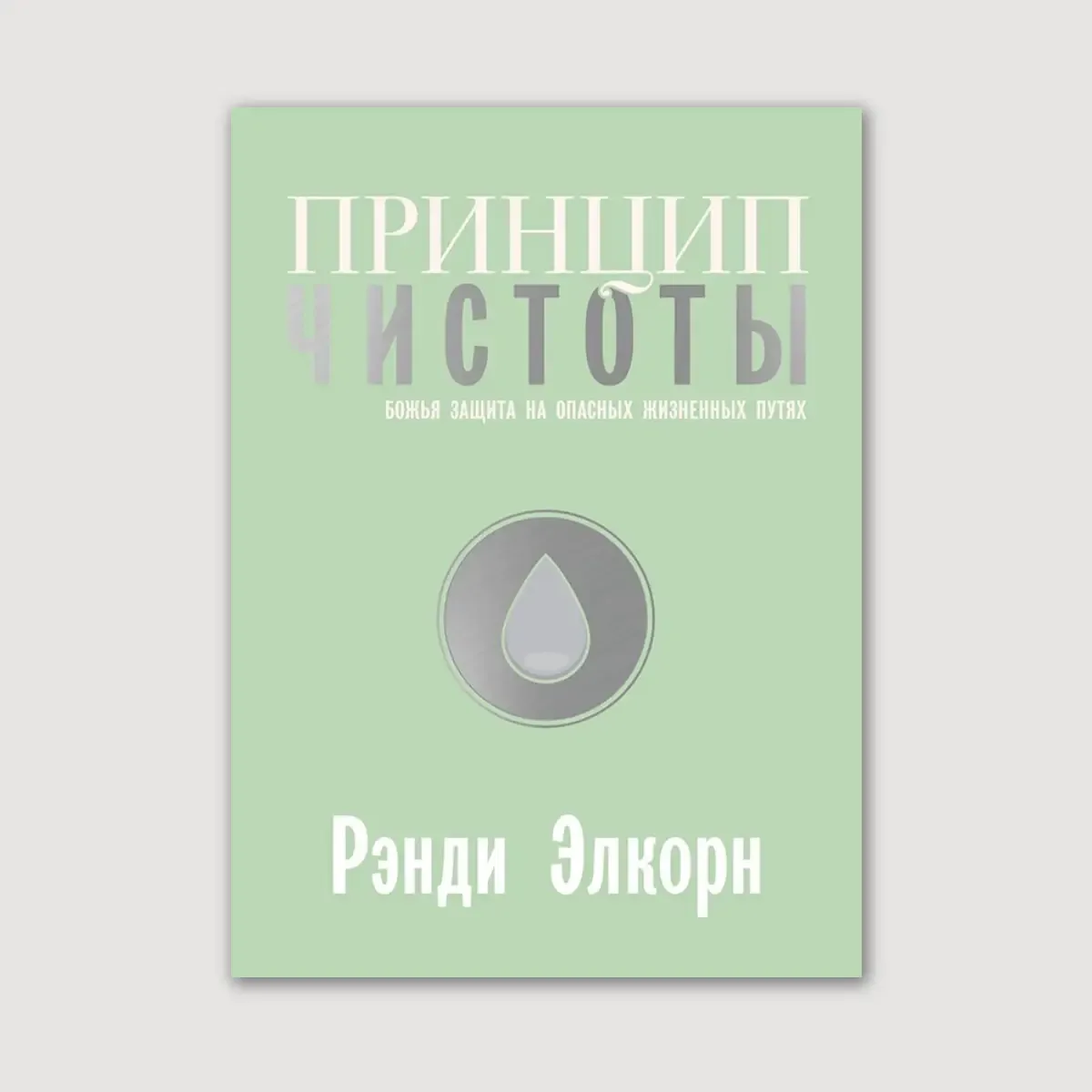 Принцип чистоты