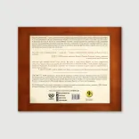 Августин Гіппонський