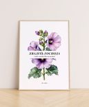 Літні постери