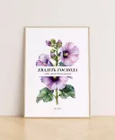 Літні постери