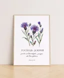 Літні постери