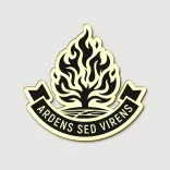 Пін "Ardens Sed Virens"